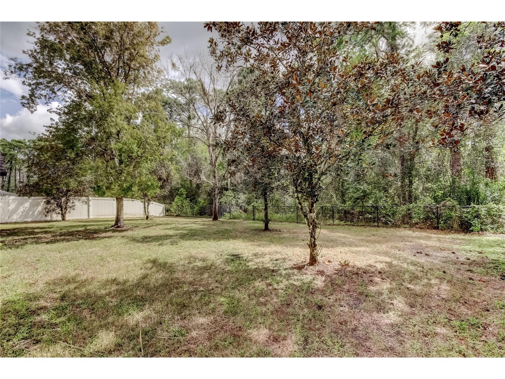 10820 Rain Lilly Pass Land O Lakes FL 34638 TB8483340 image40