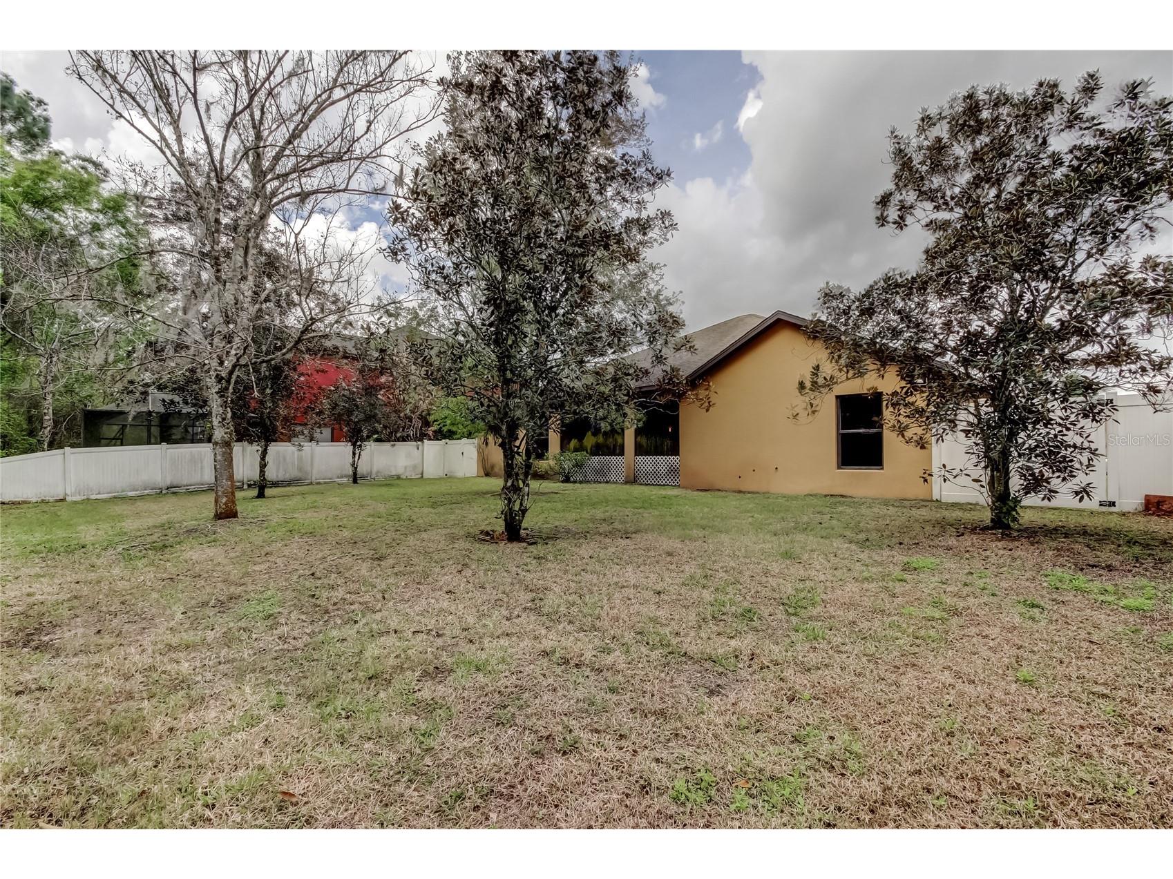 10820 Rain Lilly Pass Land O Lakes FL 34638 TB8483340 image41
