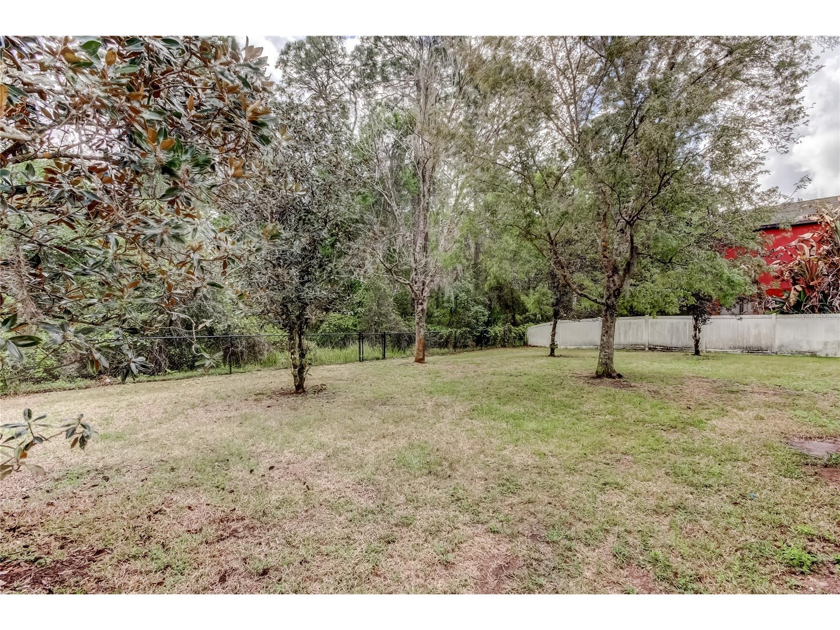 10820 Rain Lilly Pass Land O Lakes FL 34638 TB8483340 image42