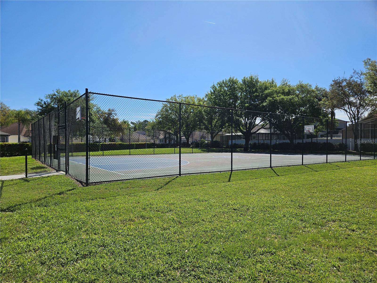 10820 Rain Lilly Pass Land O Lakes FL 34638 TB8483340 image46