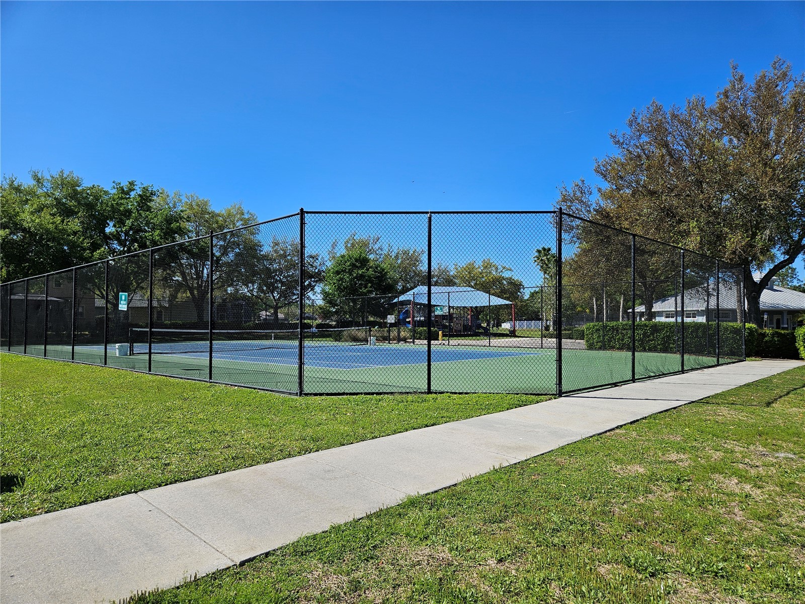 10820 Rain Lilly Pass Land O Lakes FL 34638 TB8483340 image47