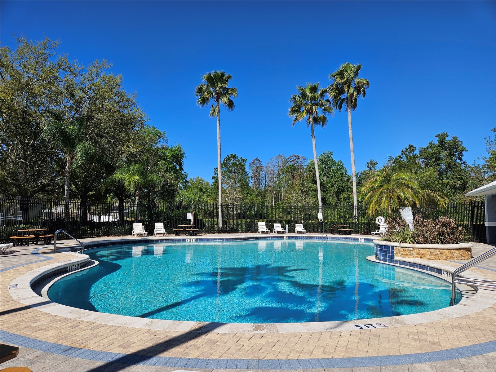 10820 Rain Lilly Pass Land O Lakes FL 34638 TB8483340 image48