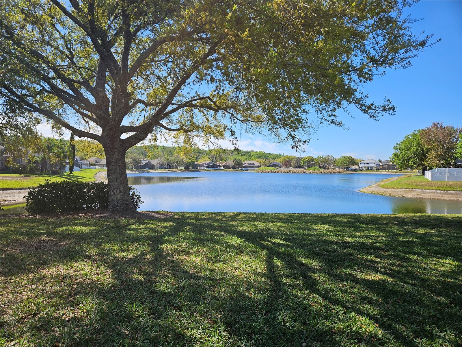 10820 Rain Lilly Pass Land O Lakes FL 34638 TB8483340 image49