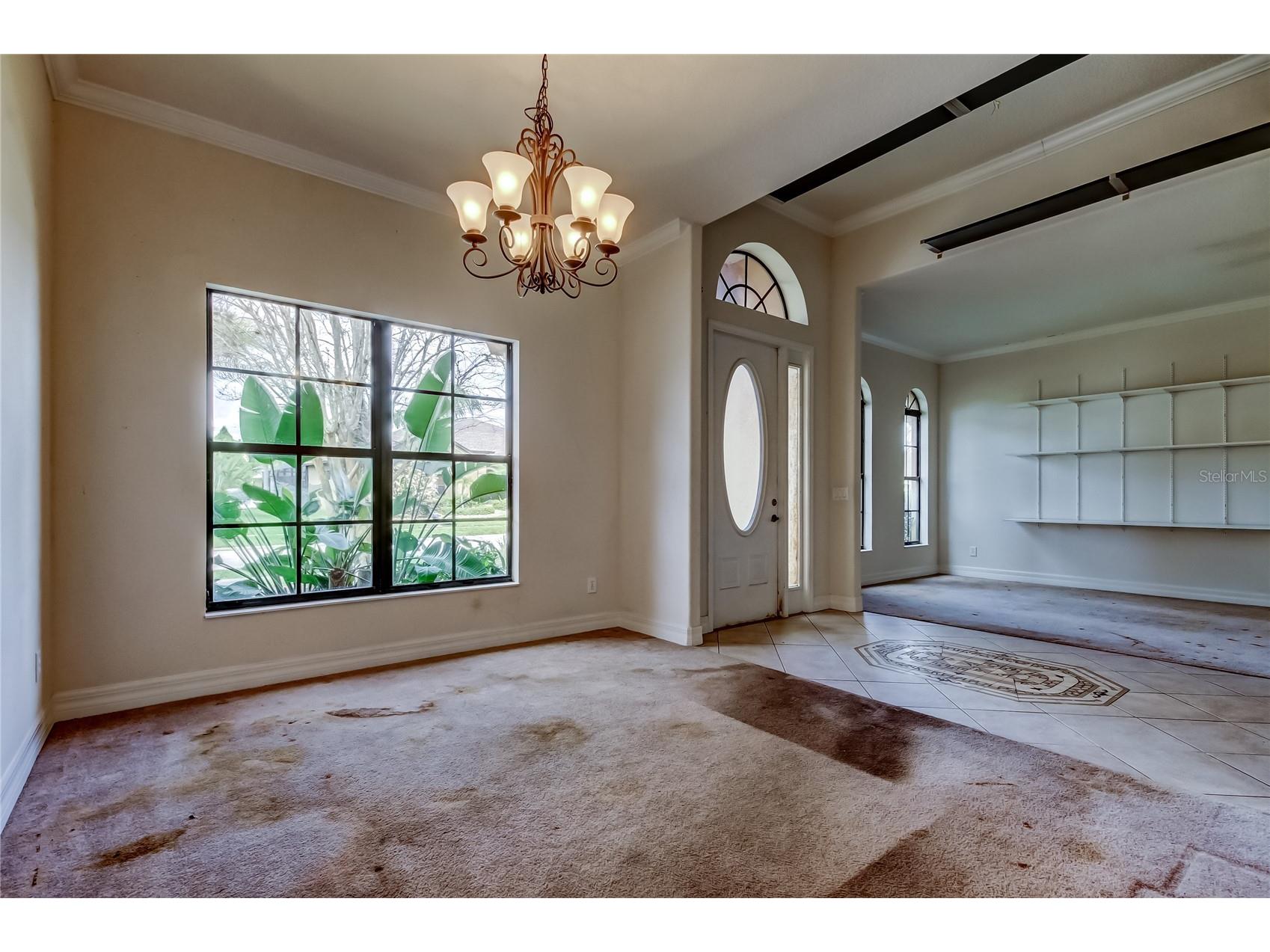 10820 Rain Lilly Pass Land O Lakes FL 34638 TB8483340 image5