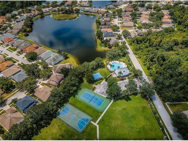10820 Rain Lilly Pass Land O Lakes FL 34638 TB8483340 image53
