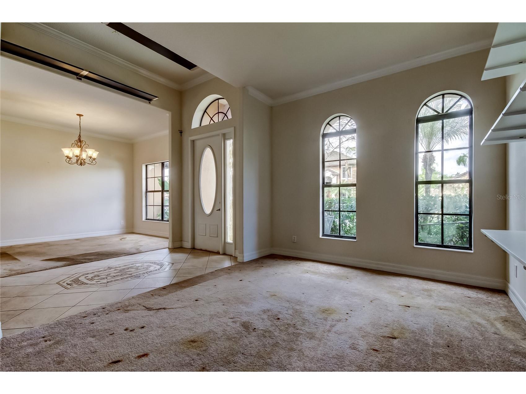 10820 Rain Lilly Pass Land O Lakes FL 34638 TB8483340 image6