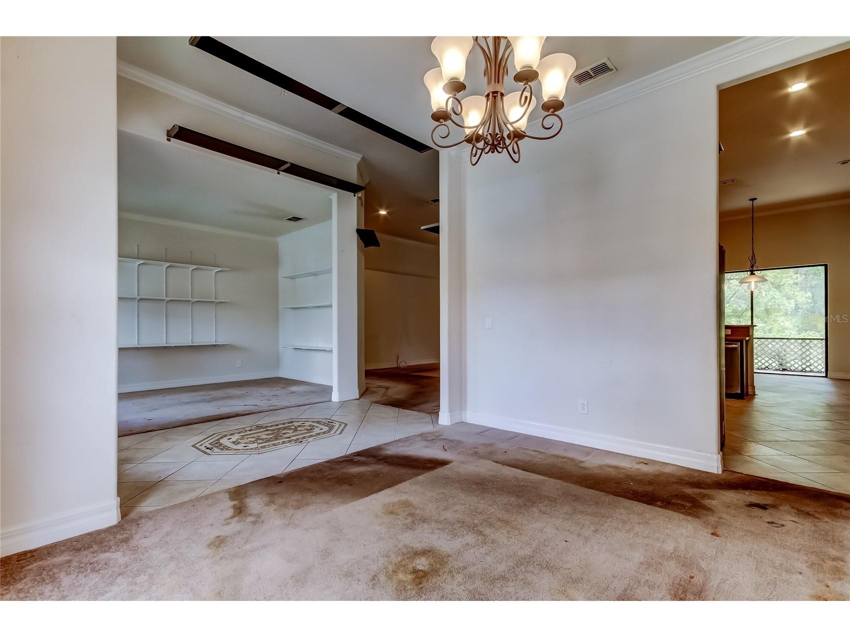 10820 Rain Lilly Pass Land O Lakes FL 34638 TB8483340 image7