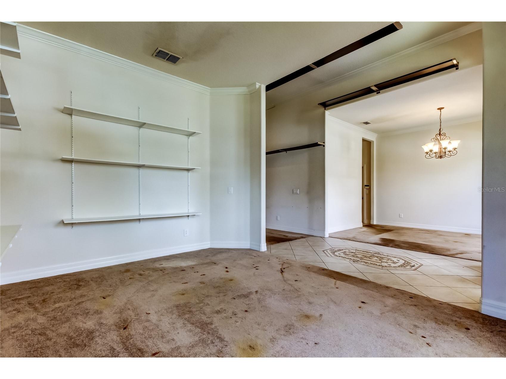 10820 Rain Lilly Pass Land O Lakes FL 34638 TB8483340 image8