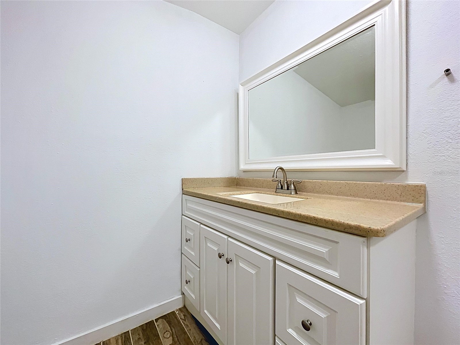 10820 S County Road 39 S Lithia FL 33547 TB8519386 image41
