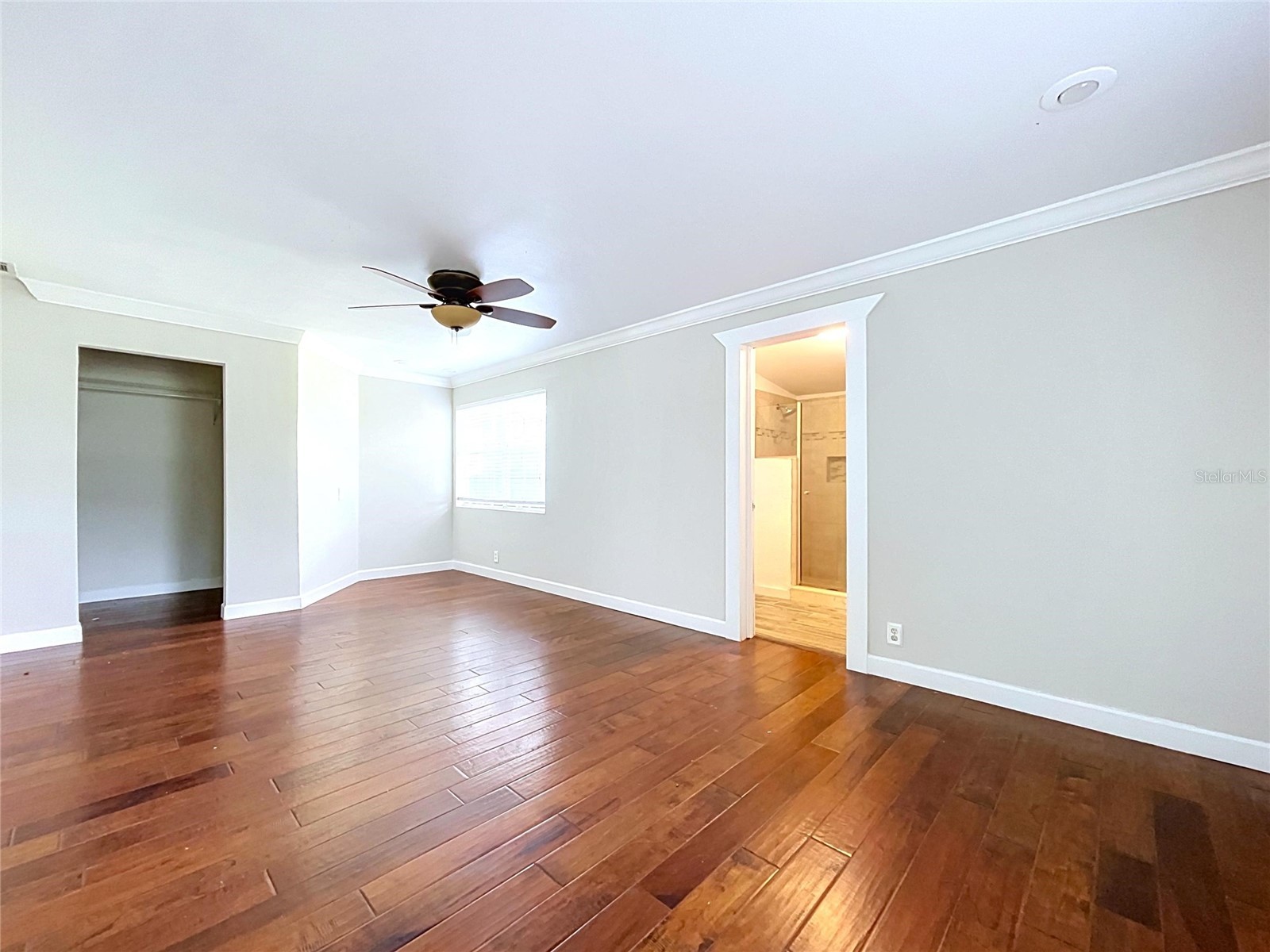 10820 S County Road 39 S Lithia FL 33547 TB8519386 image42