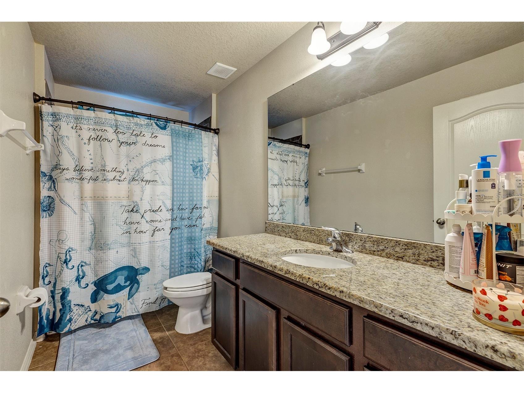 10820 Wyandotte Drive Clermont FL 34711 O6385838 image28