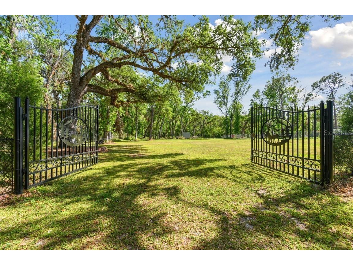 10821 Cedar Cove Drive Thonotosassa FL 33592 O6295601 image1