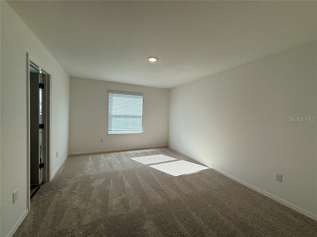 10821 Ironwood Tree Way San Antonio FL 33576 S5138490 image10