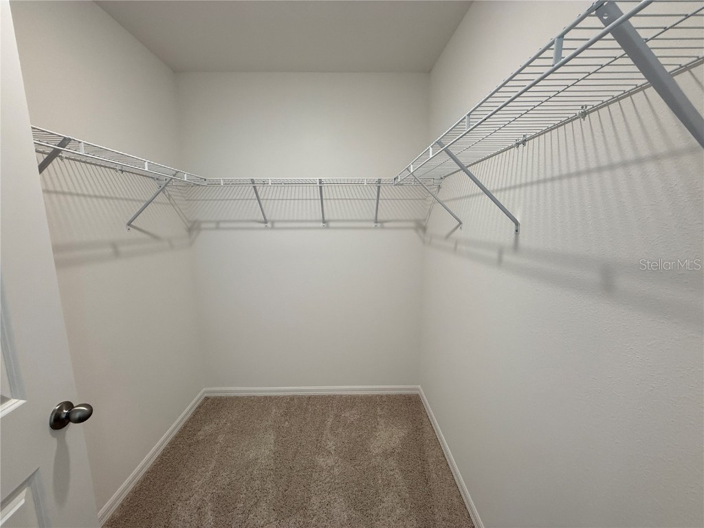 10821 Ironwood Tree Way San Antonio FL 33576 S5138490 image15