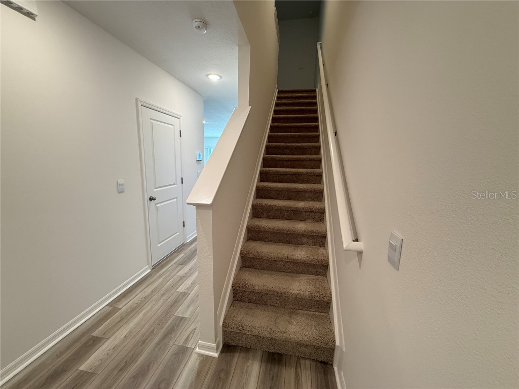 10821 Ironwood Tree Way San Antonio FL 33576 S5138490 image3