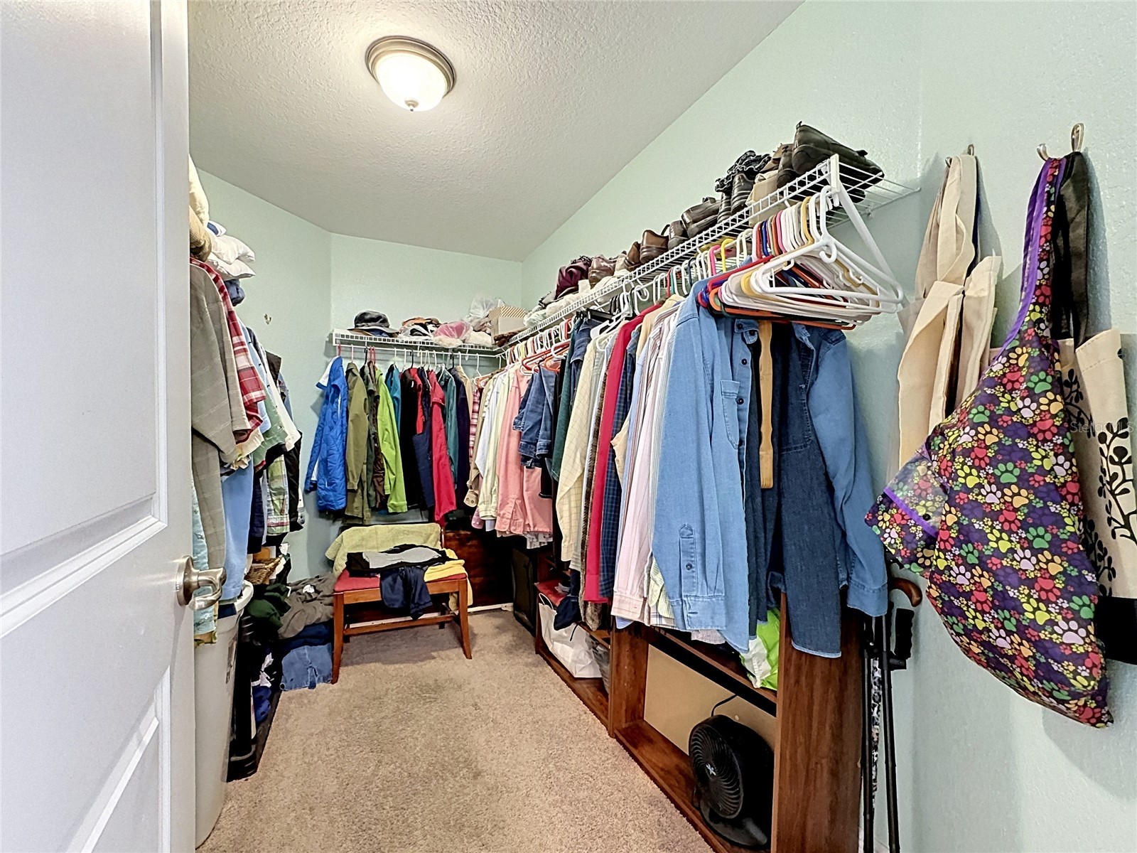 10821 Standing Stone Drive Wimauma FL 33598 TB8513137 image24