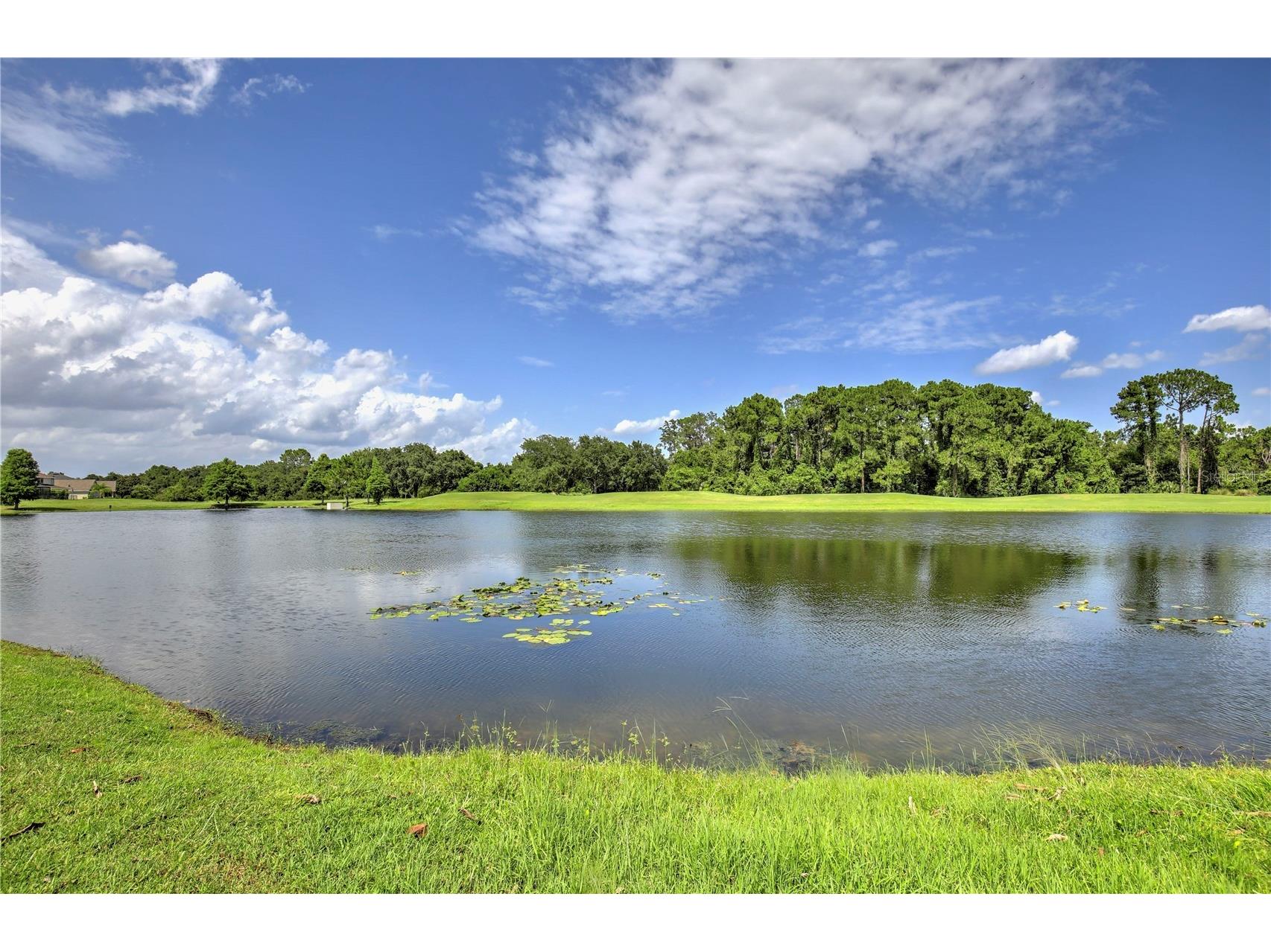 10822 Mobberley Circle Orlando FL 32832 O6425241 image49