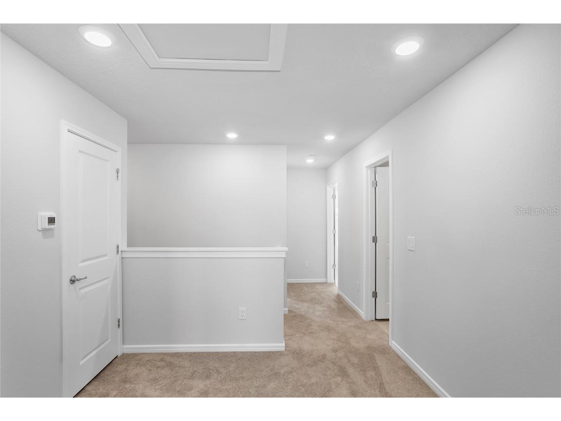 10822 Windswept Garden Way Tampa FL 33647 TB8446575 image11