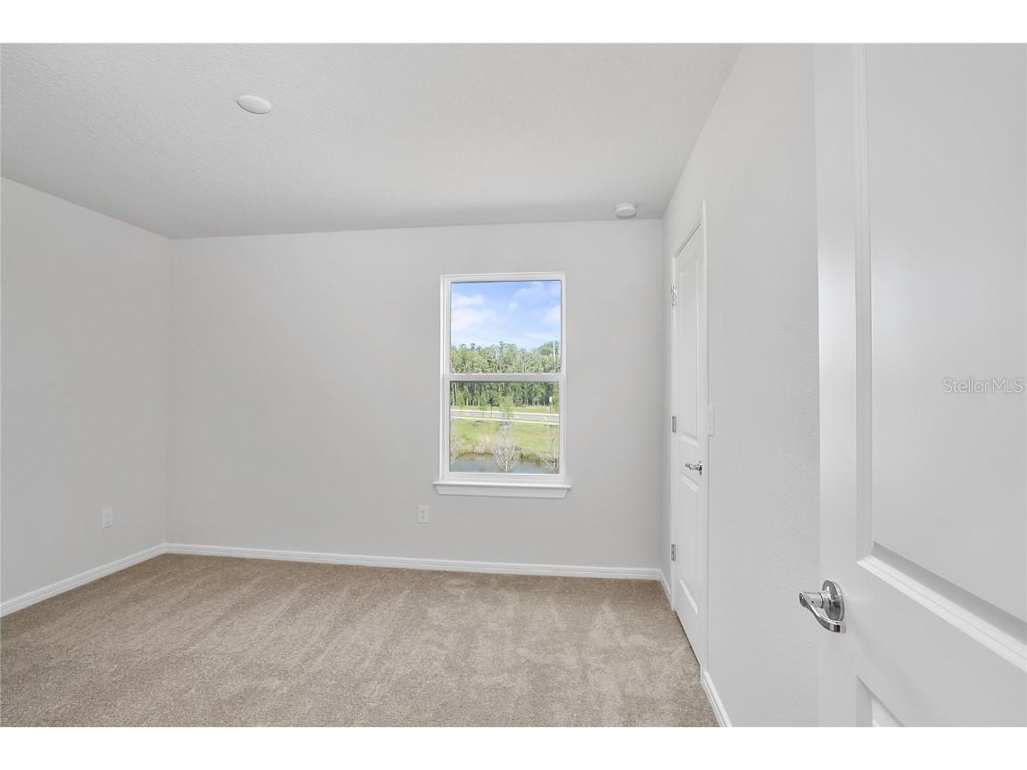 10822 Windswept Garden Way Tampa FL 33647 TB8446575 image16