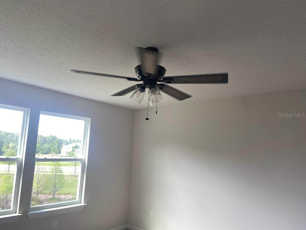 10822 Windswept Garden Way Tampa FL 33647 TB8446575 image25