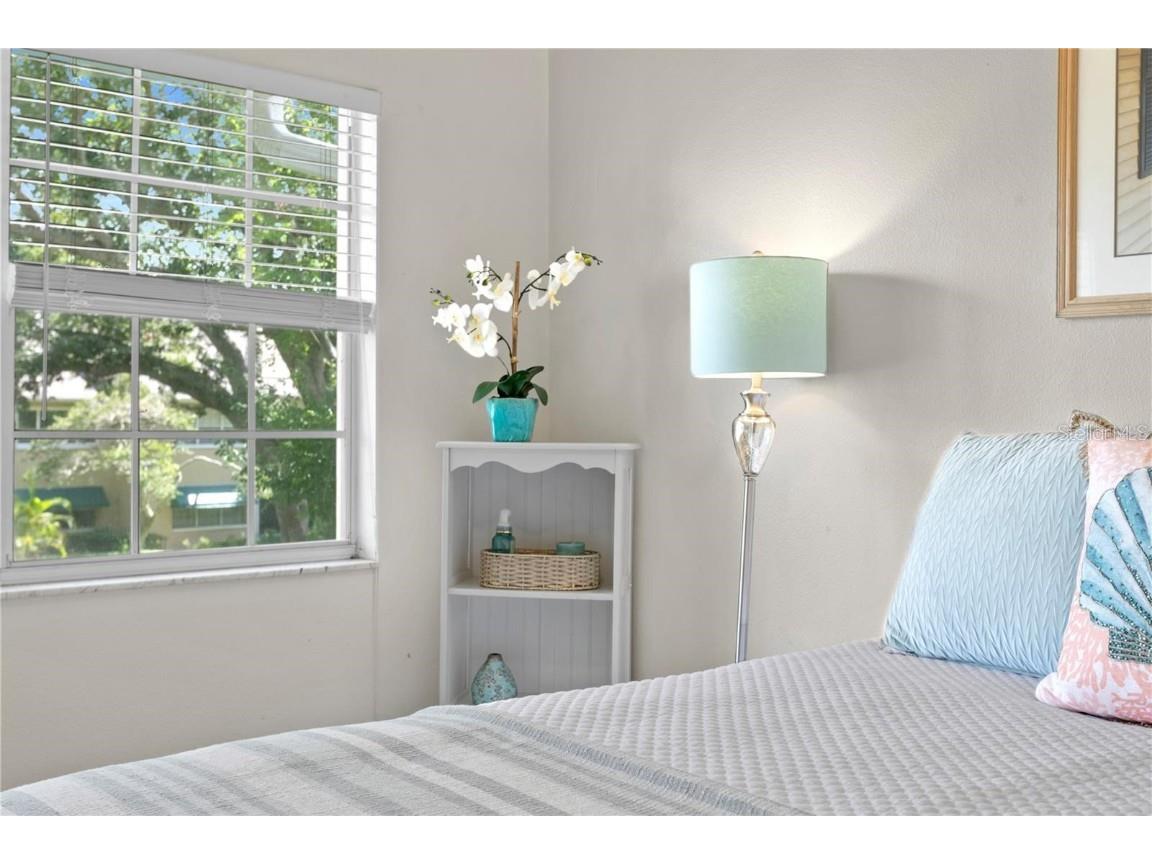 10823 Indian Hills Court #33 Seminole FL 33777 TB8446226 image18