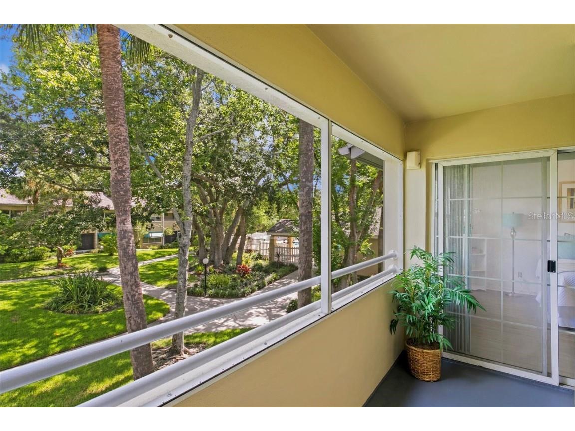 10823 Indian Hills Court #33 Seminole FL 33777 TB8446226 image25