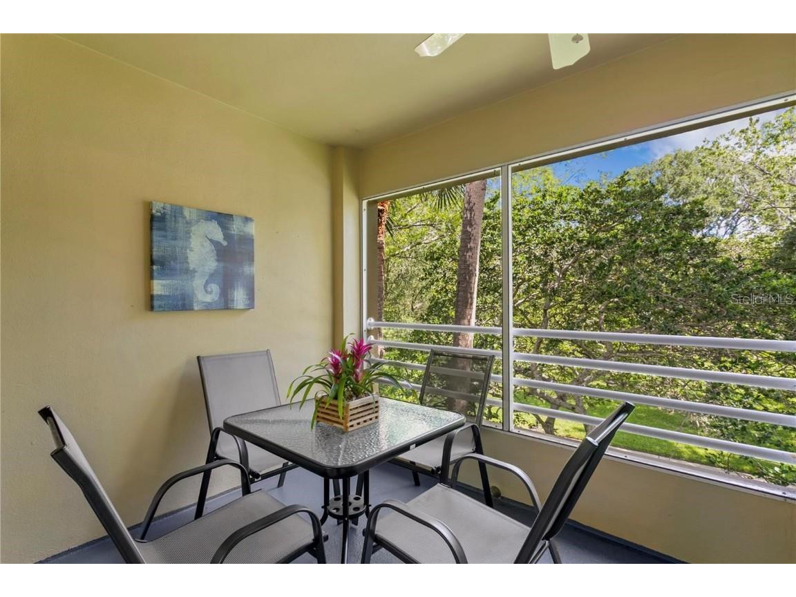 10823 Indian Hills Court #33 Seminole FL 33777 TB8446226 image26