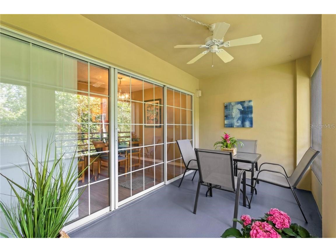 10823 Indian Hills Court #33 Seminole FL 33777 TB8446226 image27