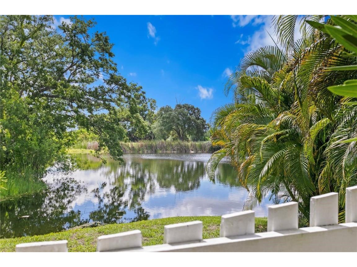 10823 Indian Hills Court #33 Seminole FL 33777 TB8446226 image33