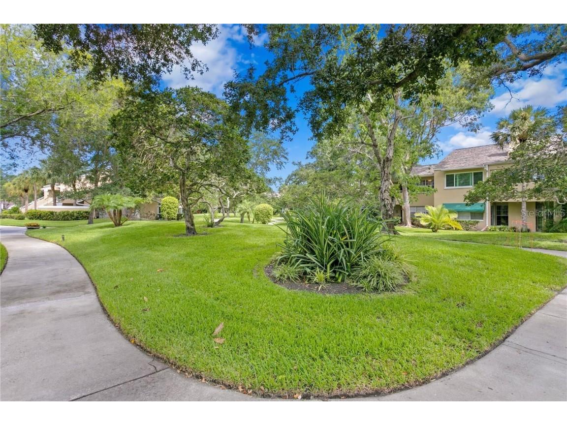 10823 Indian Hills Court #33 Seminole FL 33777 TB8446226 image34