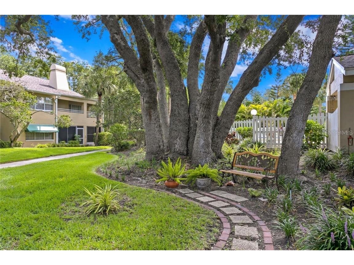 10823 Indian Hills Court #33 Seminole FL 33777 TB8446226 image35