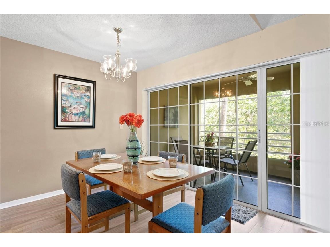 10823 Indian Hills Court #33 Seminole FL 33777 TB8446226 image6