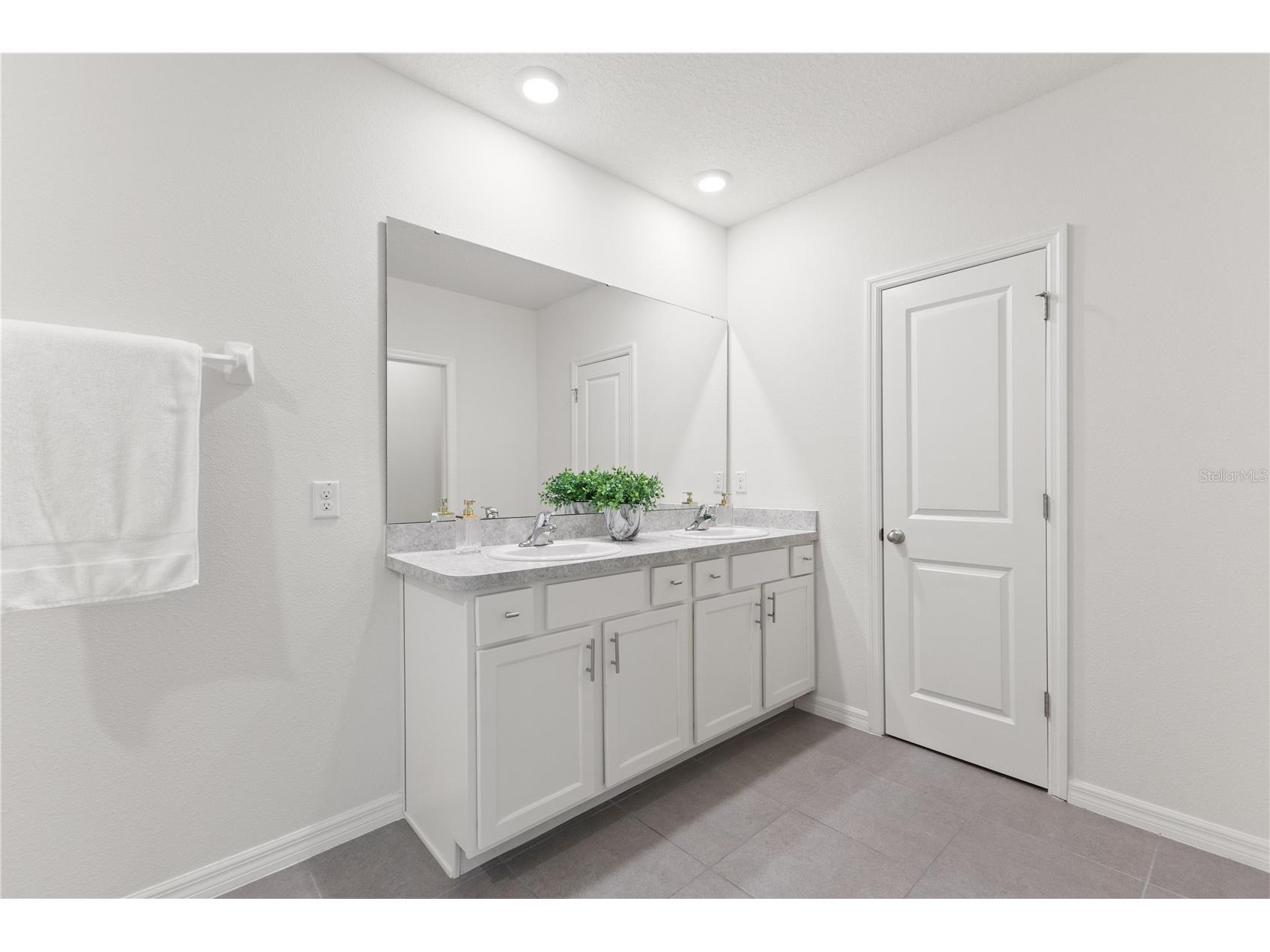10823 Trailing Vine Drive Tampa FL 33610 TB8527750 image30