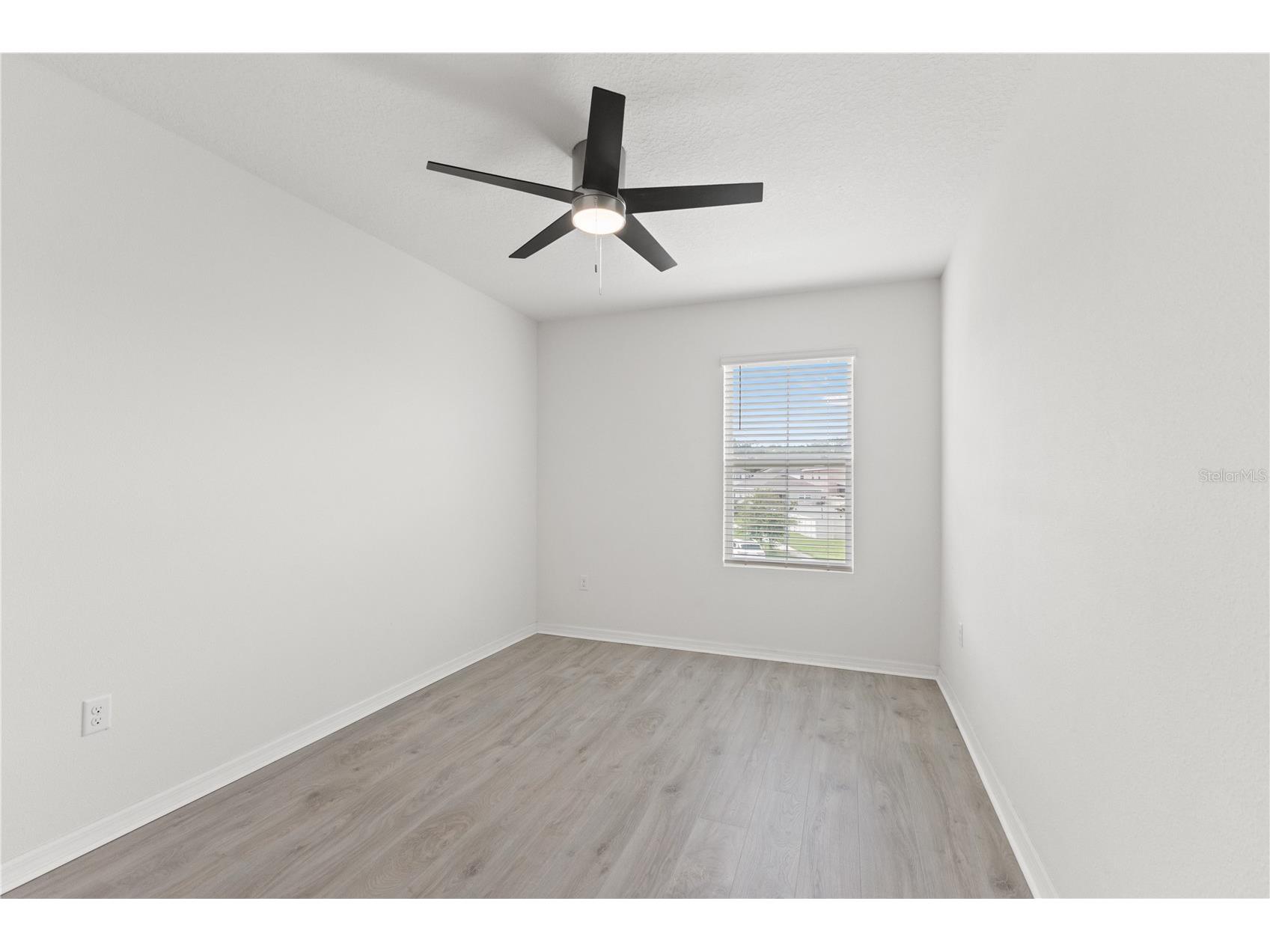 10823 Trailing Vine Drive Tampa FL 33610 TB8527750 image34