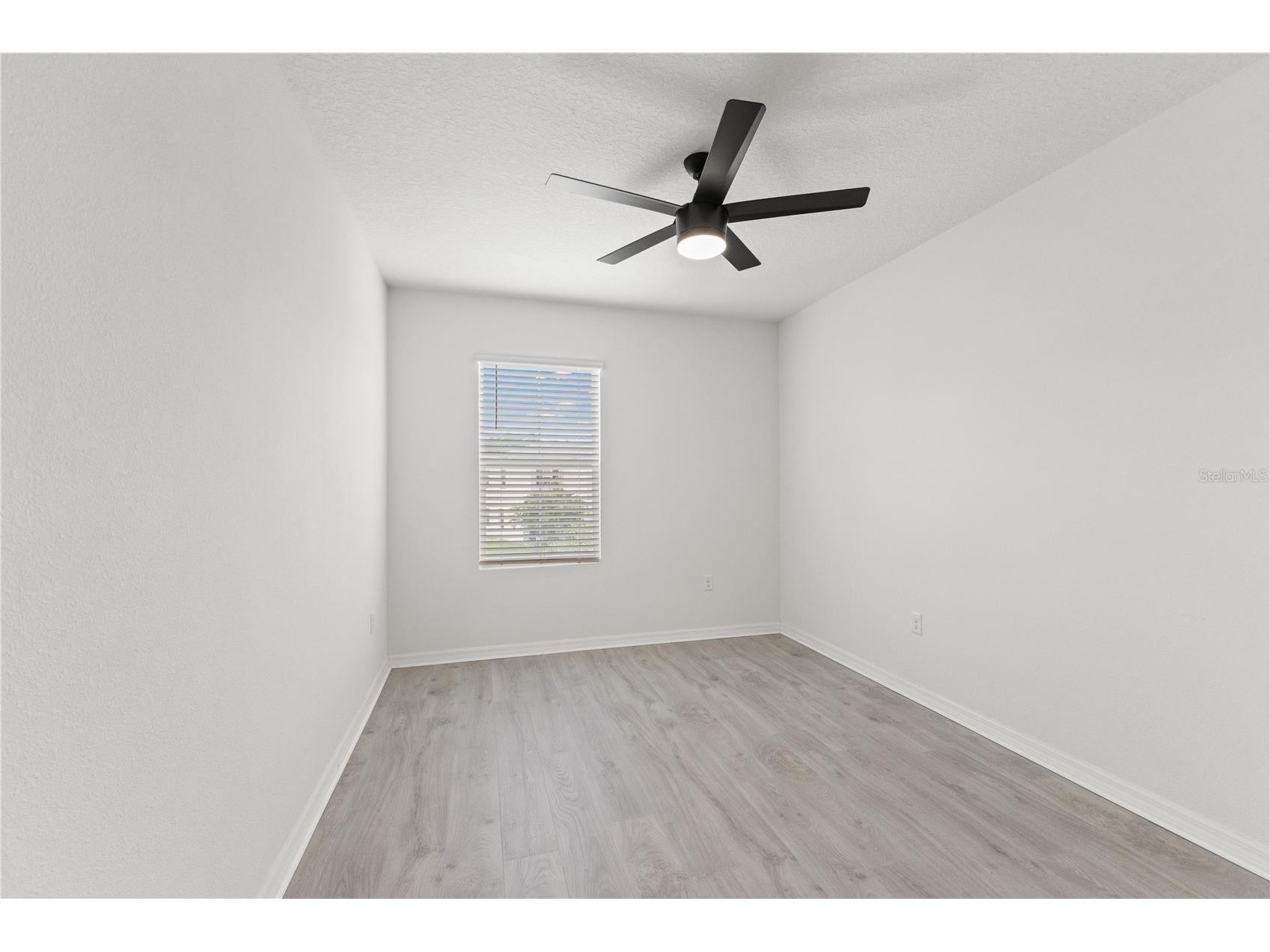 10823 Trailing Vine Drive Tampa FL 33610 TB8527750 image37