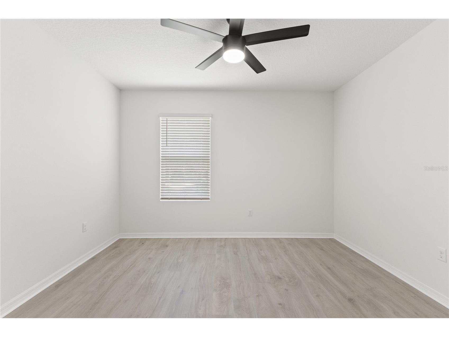 10823 Trailing Vine Drive Tampa FL 33610 TB8527750 image40