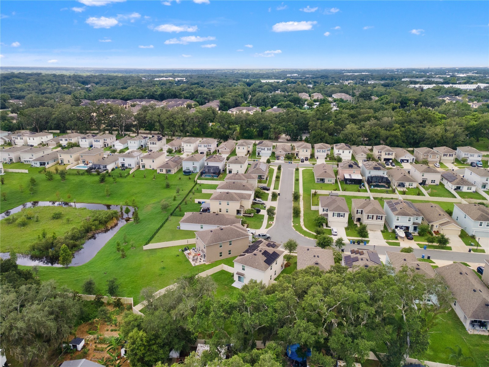 10823 Trailing Vine Drive Tampa FL 33610 TB8527750 image49