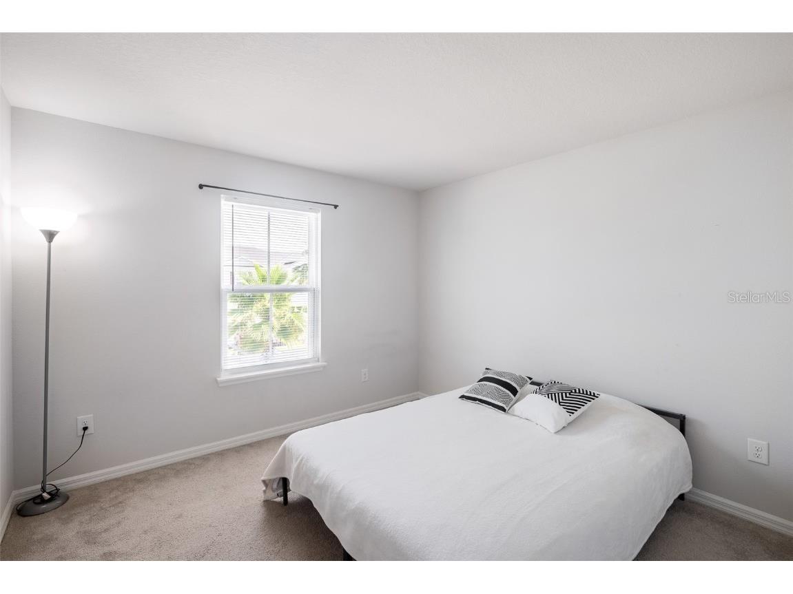 10823 Verawood Drive Riverview FL 33579 TB8310962 image19