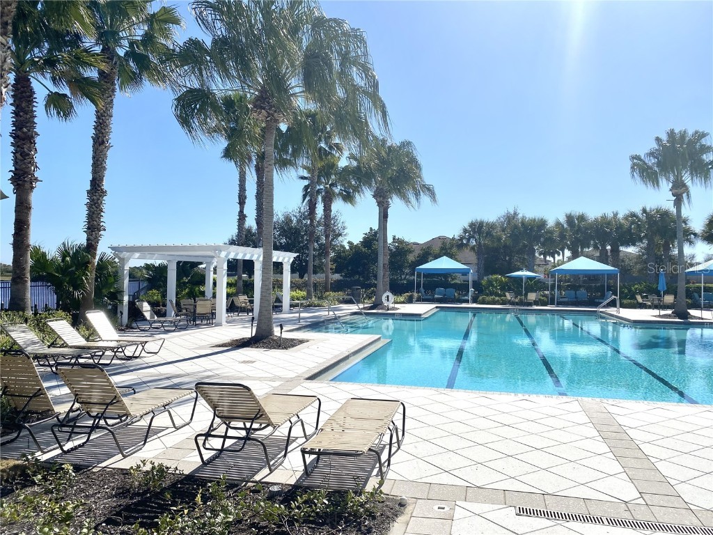 10823 Verawood Drive Riverview FL 33579 TB8310962 image29