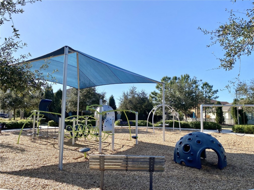 10823 Verawood Drive Riverview FL 33579 TB8310962 image30