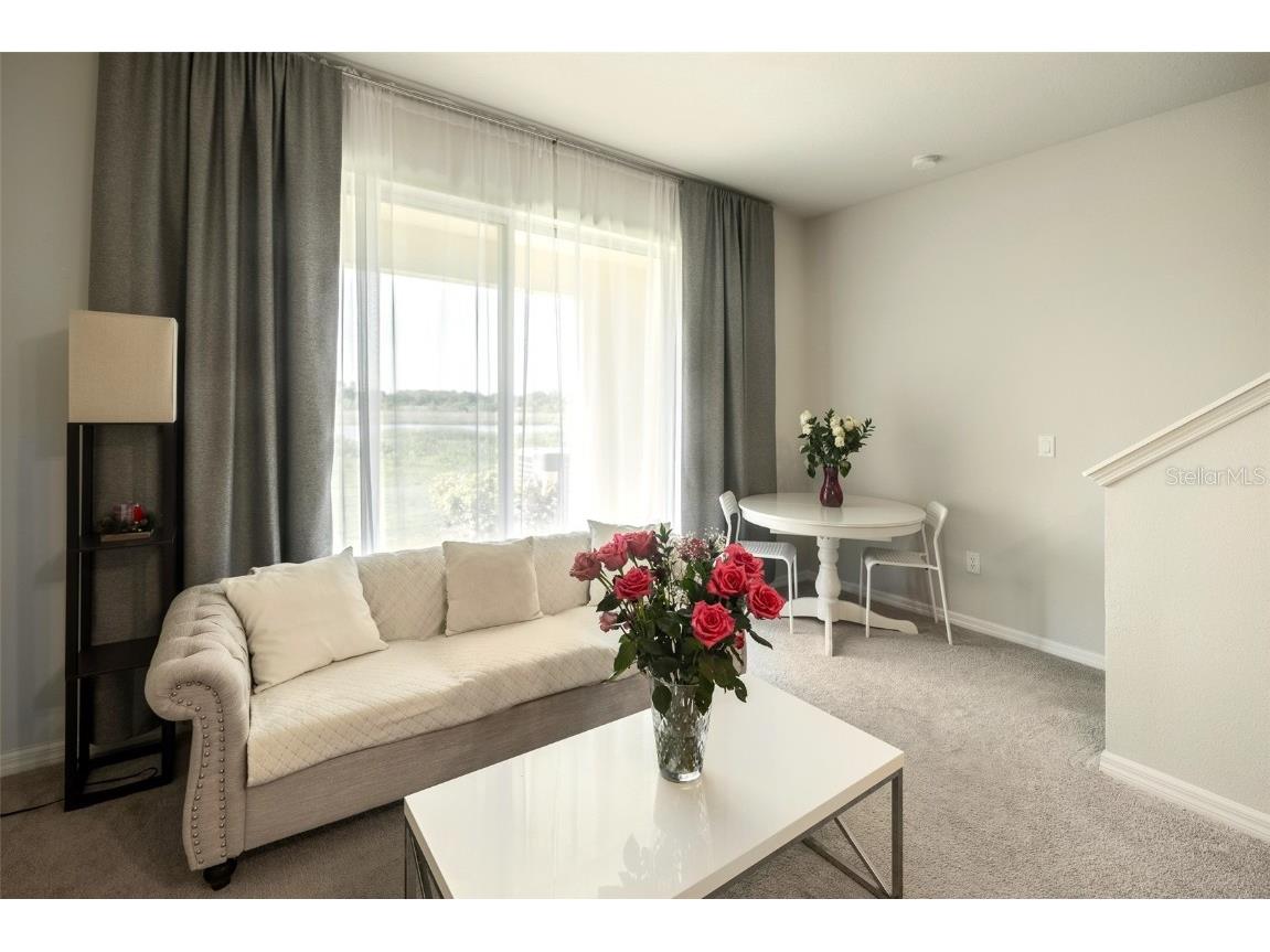 10823 Verawood Drive Riverview FL 33579 TB8310962 image5