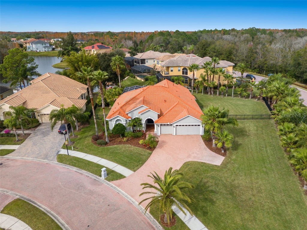 10824 Barbados Isle Drive Tampa FL 33647 - CORY LAKE U8225465 image1