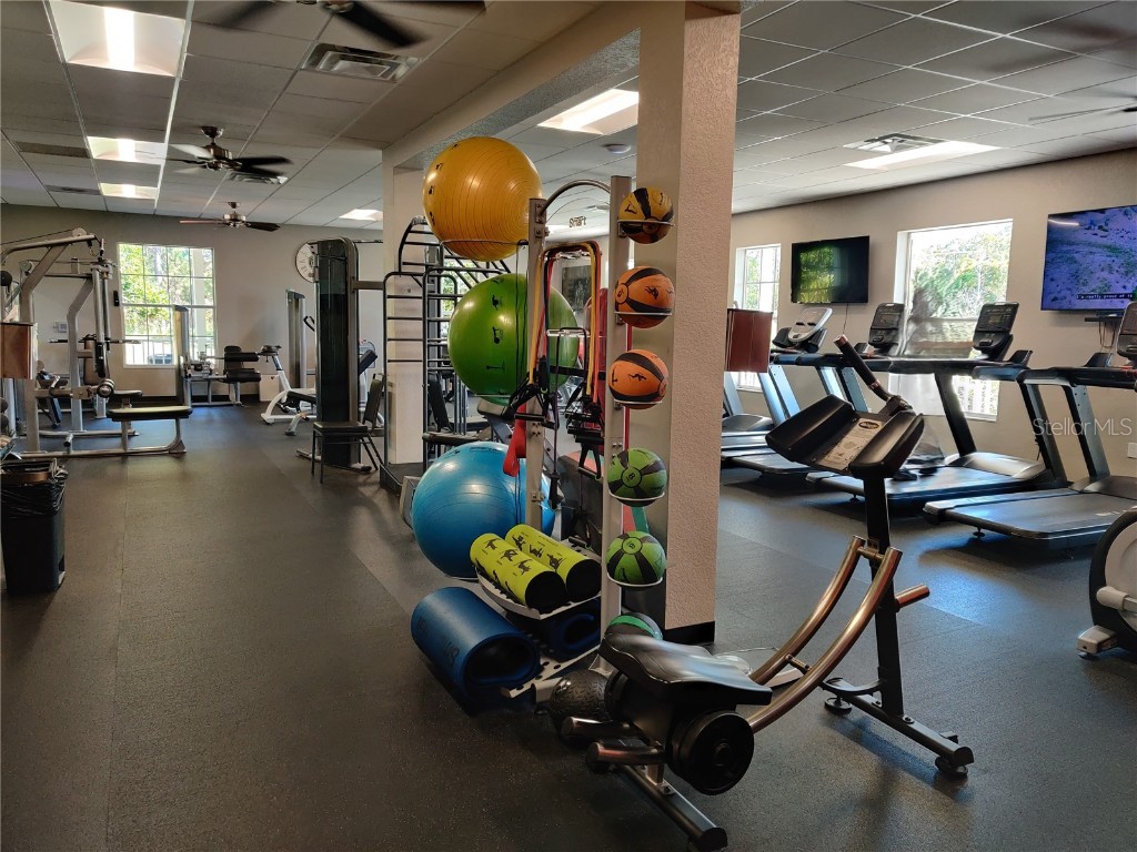 10824 Collar Dr San Antonio FL 33576 TB8445873 image26