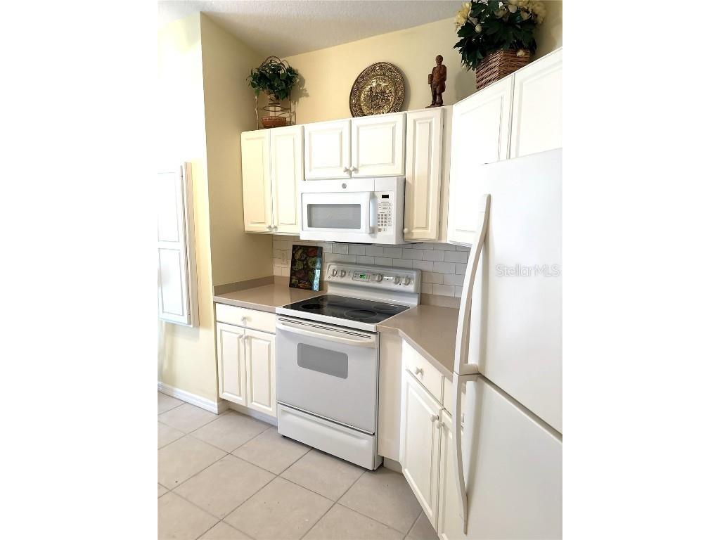 10824 Collar Dr San Antonio FL 33576 TB8445873 image9