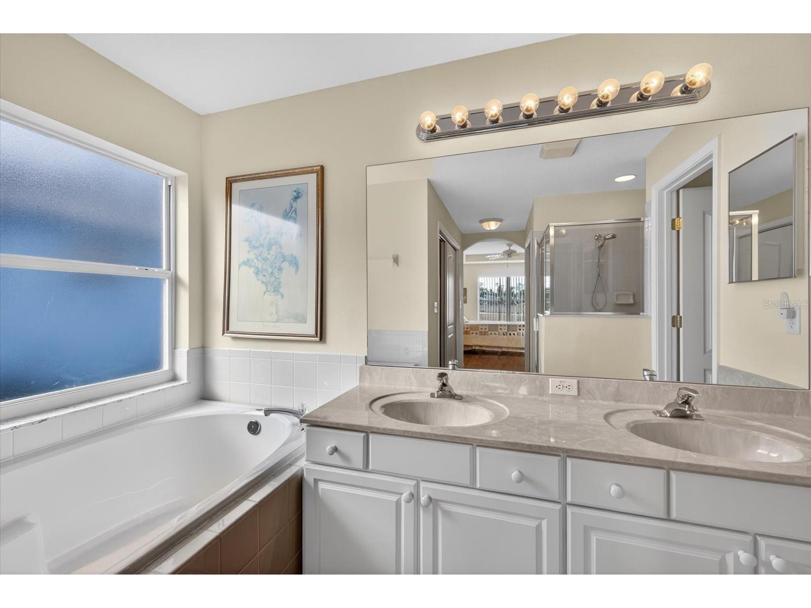 10824 Collar Dr San Antonio FL 33576 TB8478888 image19