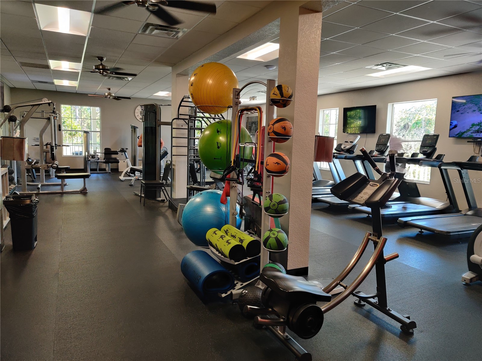 10824 Collar Dr San Antonio FL 33576 TB8478888 image37