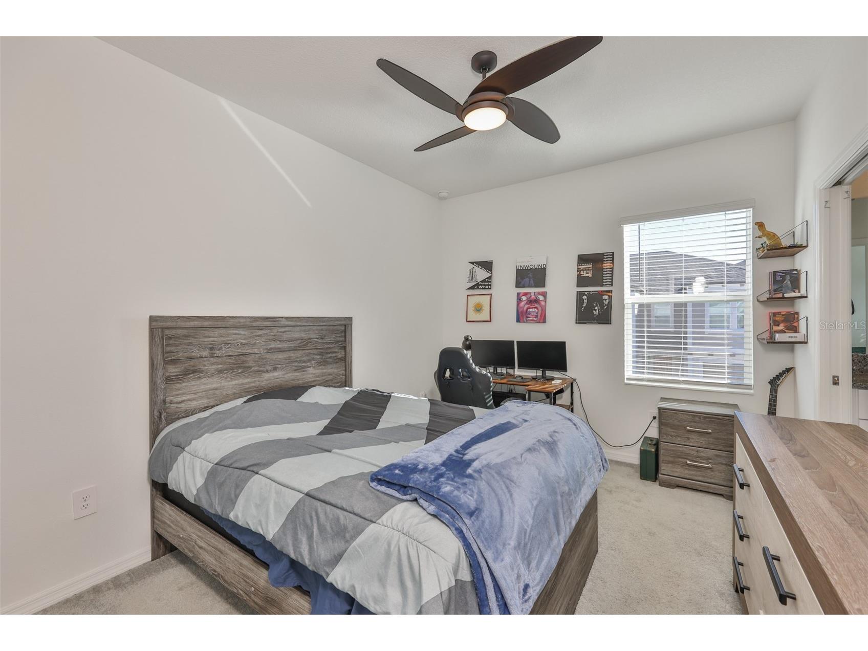 10824 Fanning Springs Court Tampa FL 33647 TB8463549 image29