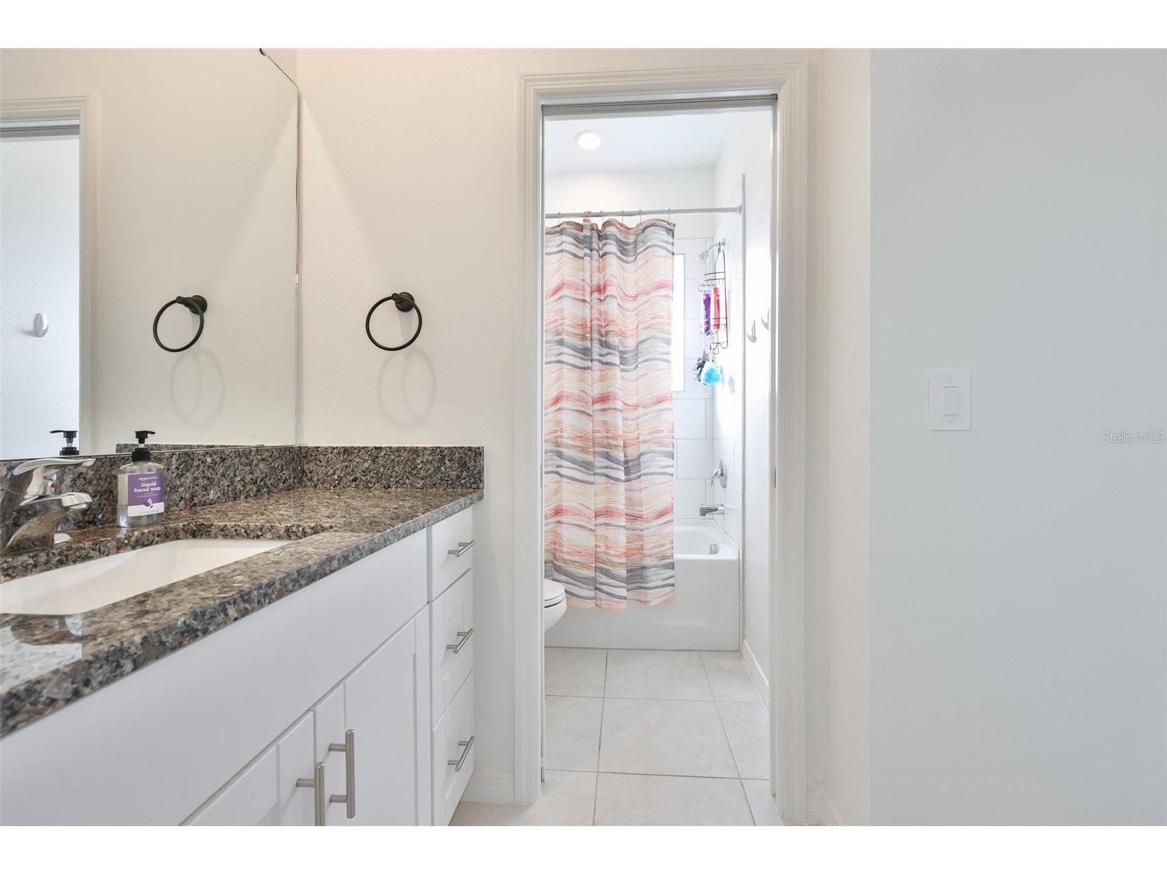 10824 Fanning Springs Court Tampa FL 33647 TB8463549 image31