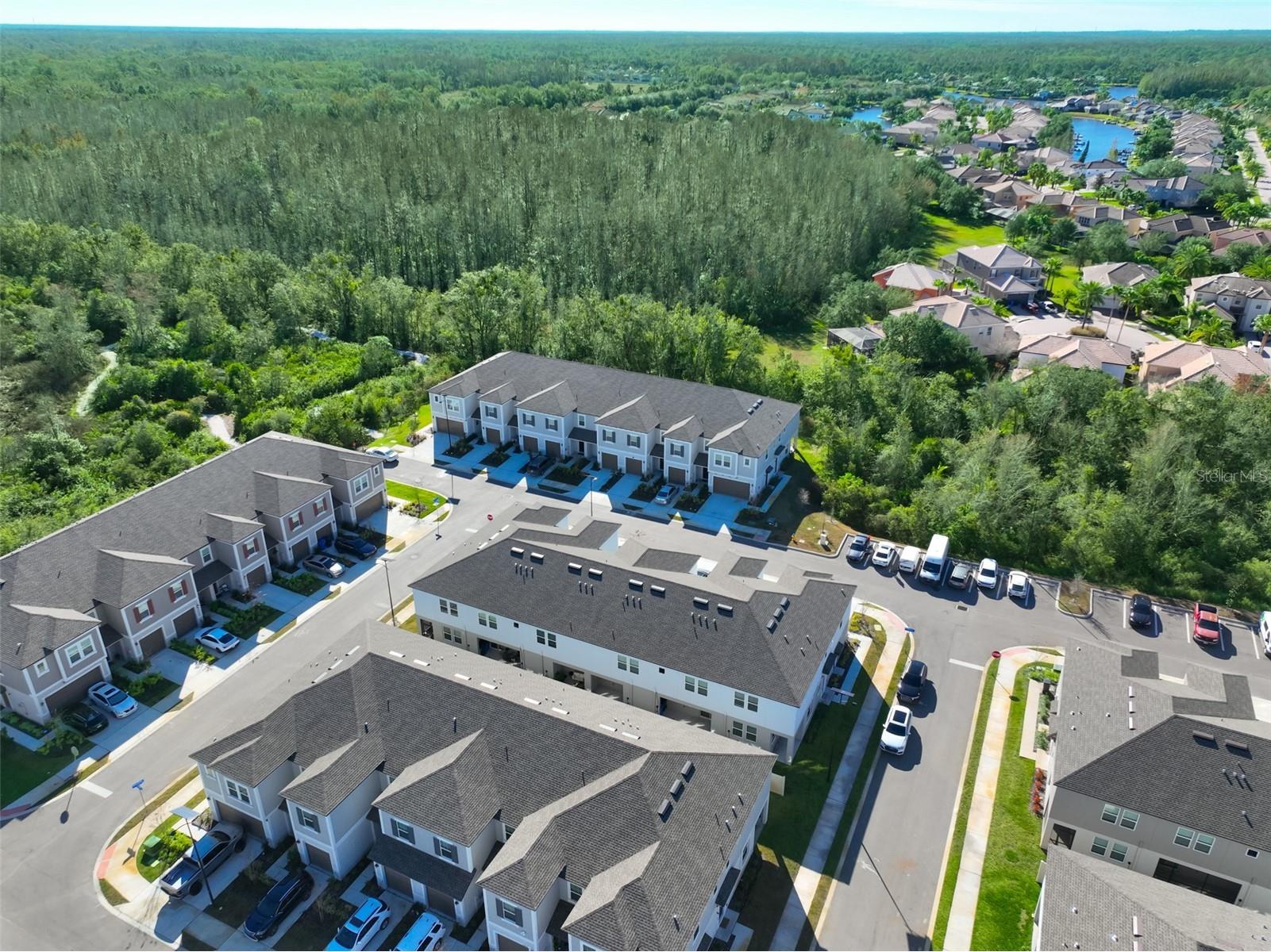 10824 Fanning Springs Court Tampa FL 33647 TB8463549 image8