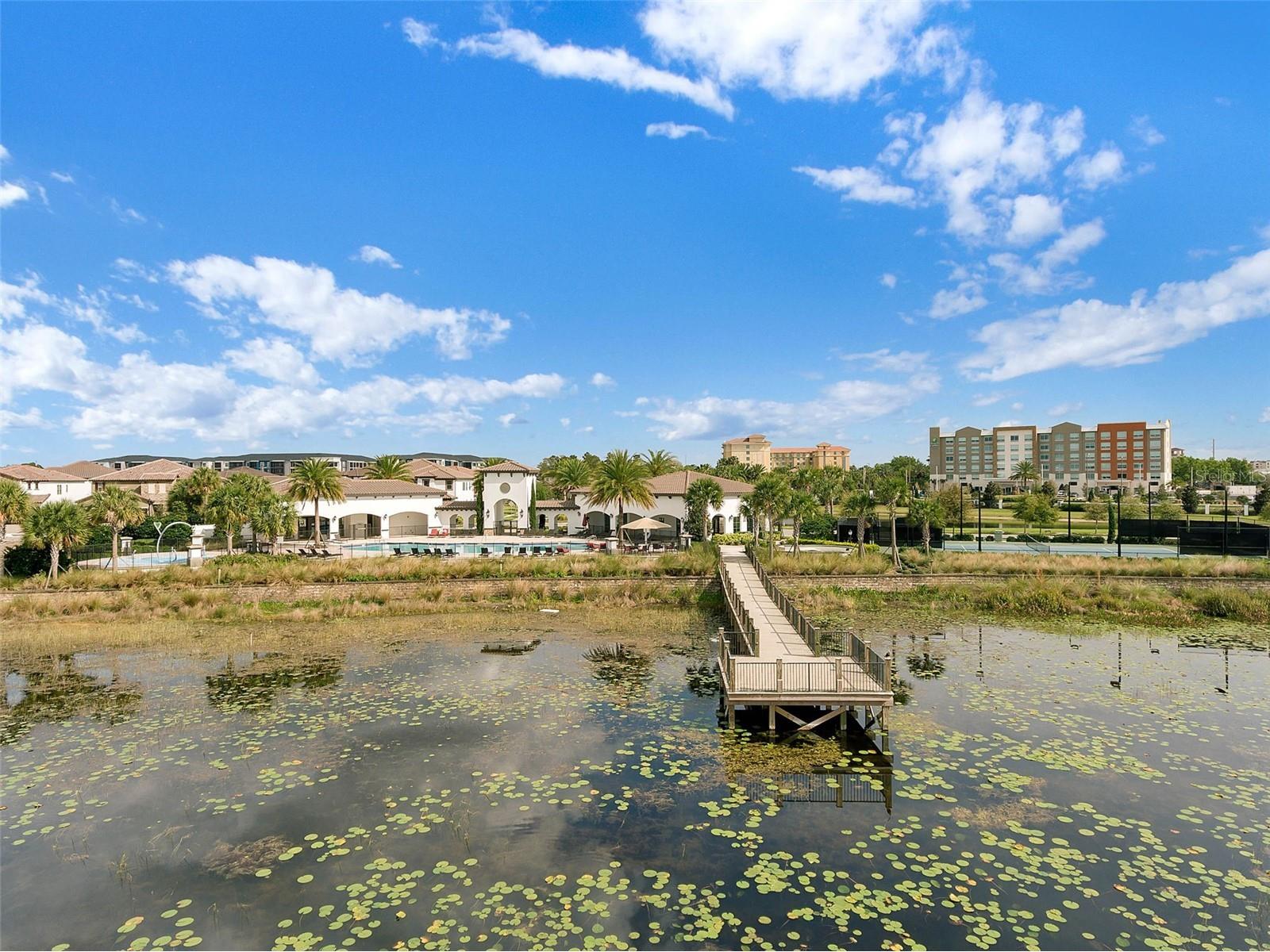 10824 Lemon Lake Boulevard Orlando FL 32836 - LAKE RUBY O6375590 image53